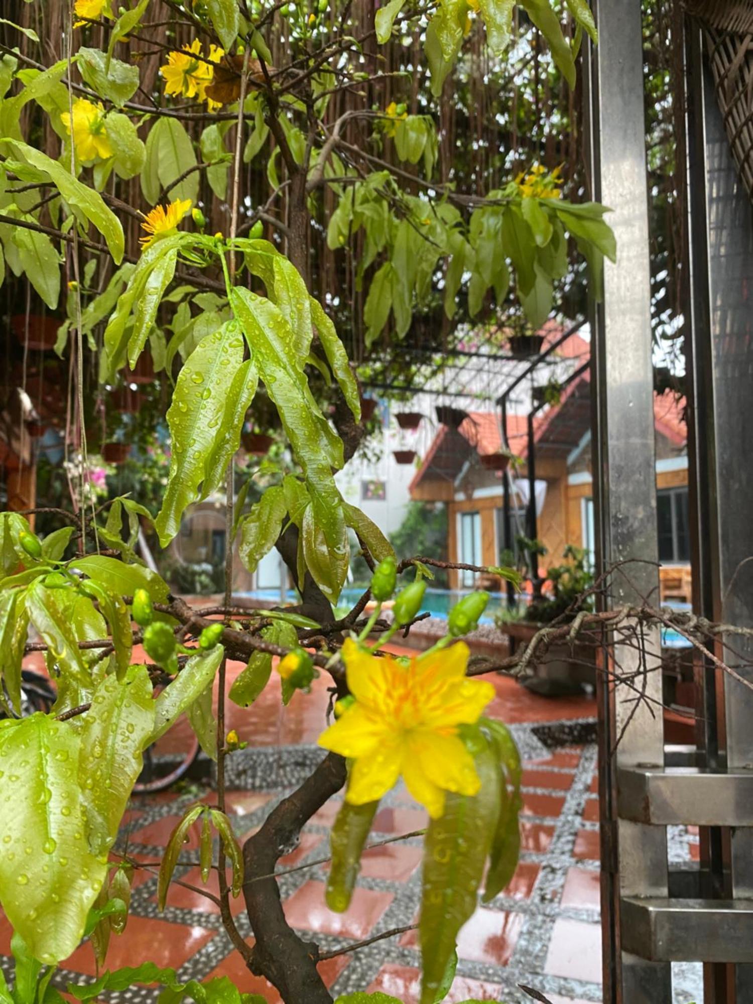 Tam Coc Charming Bungalow Ниньбинь Экстерьер фото